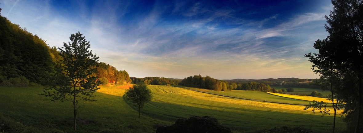 teutoburger-wald-a-landscape-in-north-east-germany-by-alexandra-dech-via-unsplash